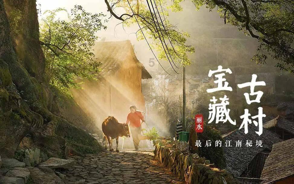白孔雀救援